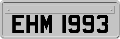EHM1993