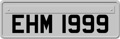 EHM1999