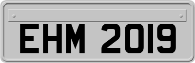 EHM2019
