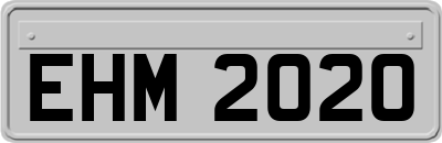 EHM2020