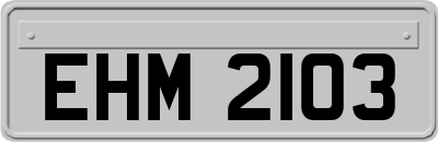 EHM2103