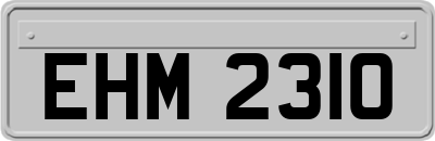 EHM2310