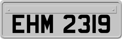 EHM2319