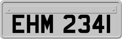 EHM2341