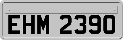 EHM2390