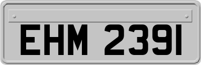 EHM2391