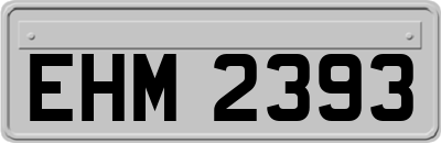 EHM2393