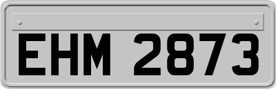 EHM2873