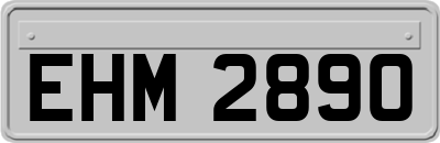 EHM2890