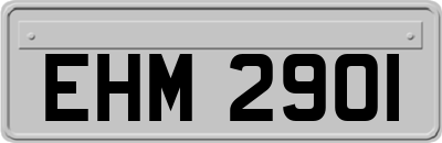 EHM2901