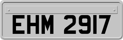 EHM2917