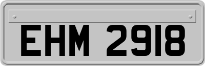 EHM2918