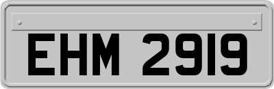 EHM2919