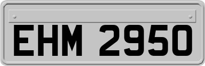 EHM2950