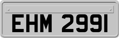 EHM2991