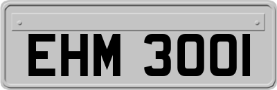 EHM3001