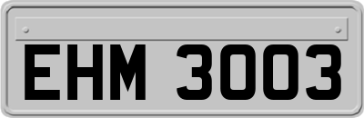 EHM3003