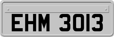 EHM3013