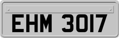 EHM3017