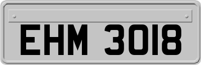 EHM3018