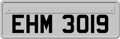 EHM3019