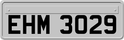 EHM3029