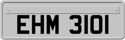 EHM3101