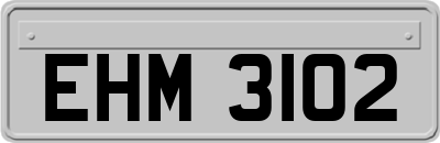 EHM3102