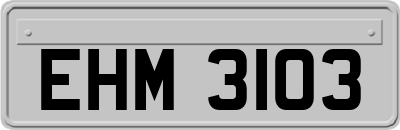 EHM3103