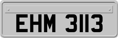 EHM3113