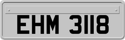 EHM3118
