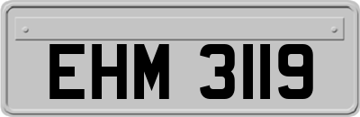 EHM3119