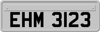 EHM3123