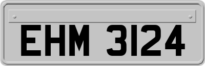 EHM3124