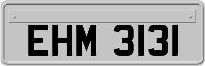 EHM3131