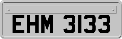 EHM3133