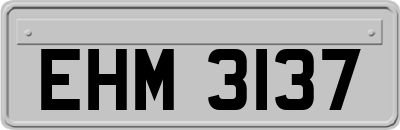 EHM3137