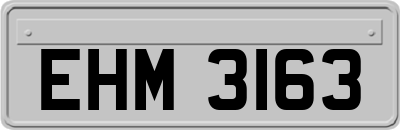 EHM3163