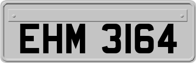 EHM3164