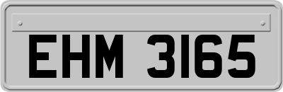 EHM3165