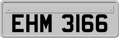 EHM3166