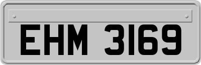 EHM3169