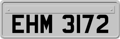 EHM3172