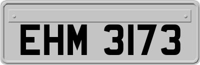 EHM3173