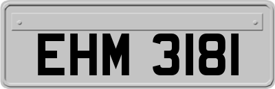 EHM3181
