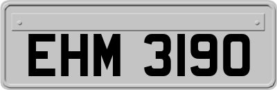 EHM3190