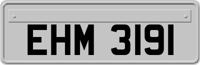 EHM3191