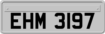 EHM3197