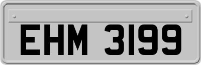 EHM3199