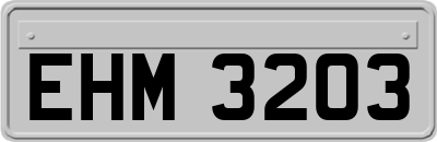EHM3203